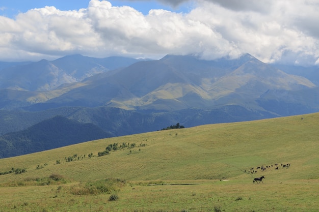 Panoramasicht auf Berge und Talszenen im Nationalpark Dombay, Kaukasus, Russland, Europa. Dramatischer blauer Himmel und sonnige Sommerlandschaft