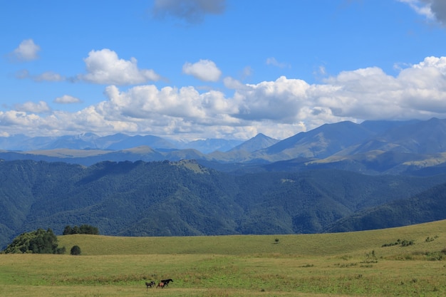 Panoramasicht auf Berge und Talszenen im Nationalpark Dombay, Kaukasus, Russland, Europa. Dramatischer blauer Himmel und sonnige Sommerlandschaft