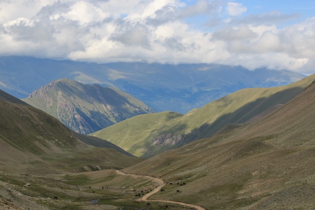 Panoramasicht auf Bergszenen im Nationalpark Dombay, Kaukasus, Russland, Europa. Dramatischer blauer Himmel und sonnige Sommerlandschaft