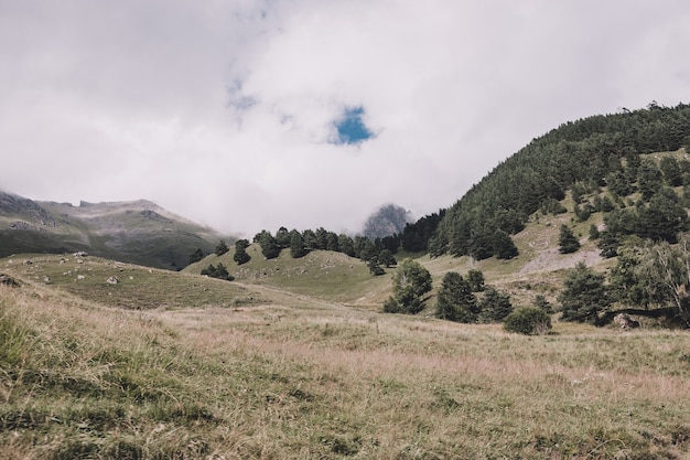 Panoramasicht auf Wald- und Bergszenen im Nationalpark Dombay, Kaukasus, Russland. Dramatischer blauer Himmel und sonnige Landschaft