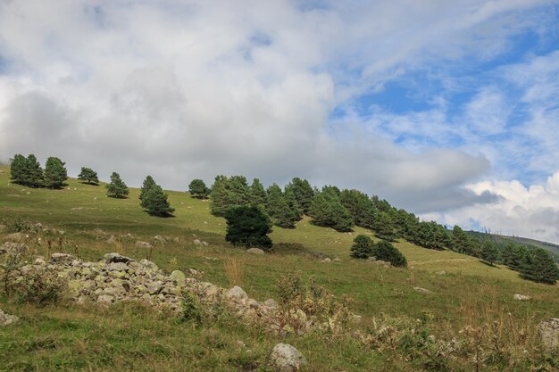 Panoramasicht auf Wald- und Bergszenen im Nationalpark Dombay, Kaukasus, Russland. Dramatischer blauer Himmel und sonnige Landschaft