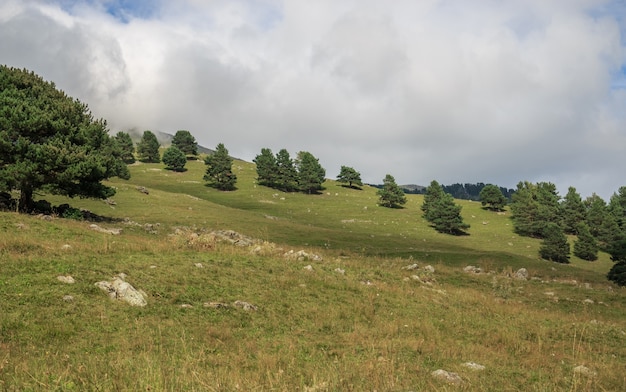 Panoramasicht auf Wald- und Bergszenen im Nationalpark Dombay, Kaukasus, Russland. Dramatischer blauer Himmel und sonnige Landschaft