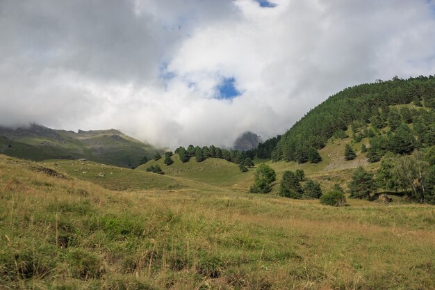 Panoramasicht auf Wald- und Bergszenen im Nationalpark Dombay, Kaukasus, Russland. Dramatischer blauer Himmel und sonnige Landschaft