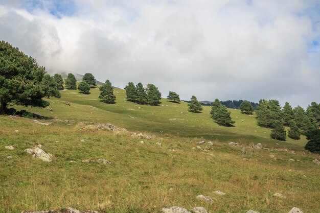 Panoramasicht auf Wald- und Bergszenen im Nationalpark Dombay, Kaukasus, Russland. Dramatischer blauer Himmel und sonnige Landschaft