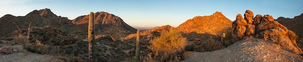 Panorámica de 180 grados del desierto de Sonora