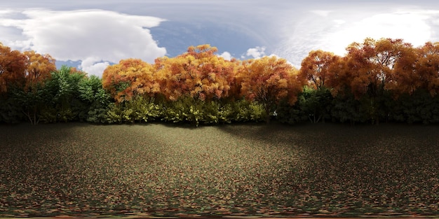 Panorámica de 360 grados del bosque, prado en medio de los árboles, VR, ilustración 3D, representación cg