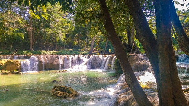 Panorámica exótica hermosa cascada de la selva tropical profunda Cascadas frescas en el bosque profundo