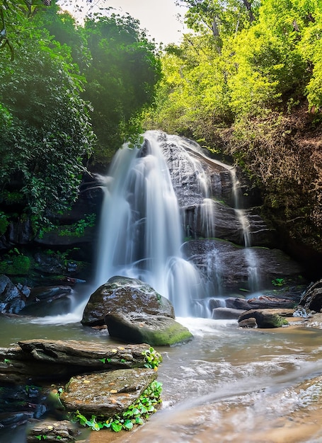 Panorámica hermosa cascada de bosque profundo en Tailandia_ai_generado