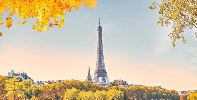 Panorámica de la Torre Eiffel y París
