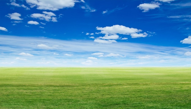 Panoramische grüne Landschaft