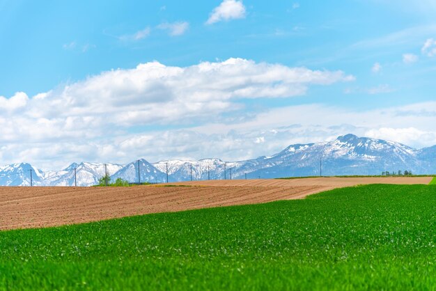 Panoramische ländliche Landschaft mit Bergen Riesiger blauer Himmel und weiße Wolken über Ackerland