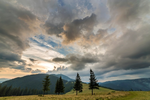 Panoramische Sommeransicht, grünes grasartiges Tal auf entferntem waldigem Gebirgshintergrund unter bewölktem Himmel.