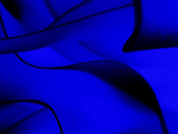 Foto pantalla azul oscura abstracto diseño creativo de fondo