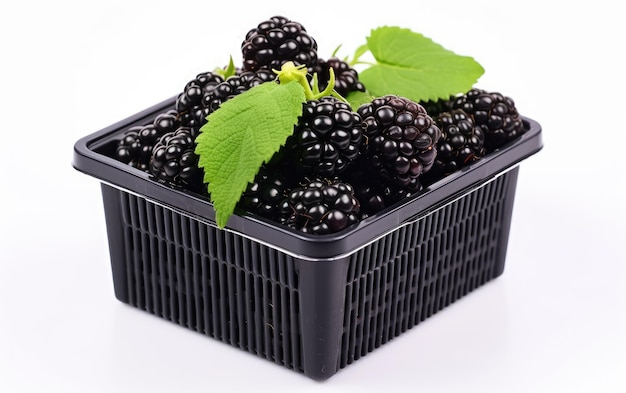 Foto pantalla de blackberry de plástico aislada sobre un fondo transparente