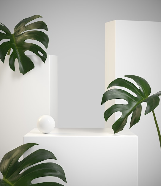 Pantalla blanca de belleza mínima moderna con planta tropical Monstera. Render 3d