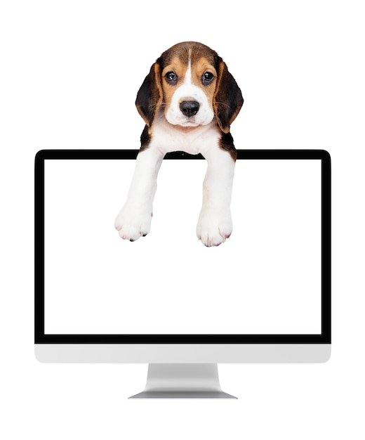 Pantalla de la computadora png pegatina de cachorro fondo transparente