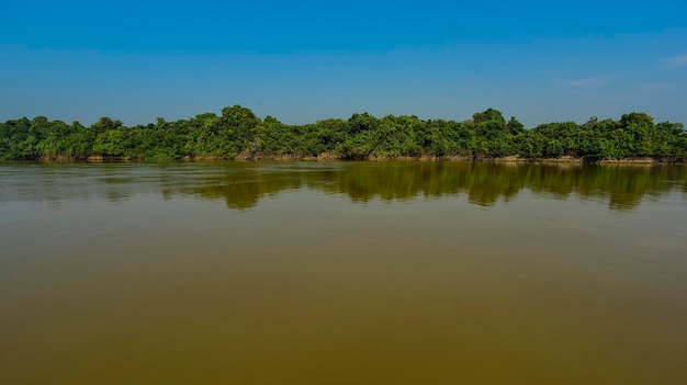 Pantanal-Fluss und Waldökosystem Mato Grosso Brasilien