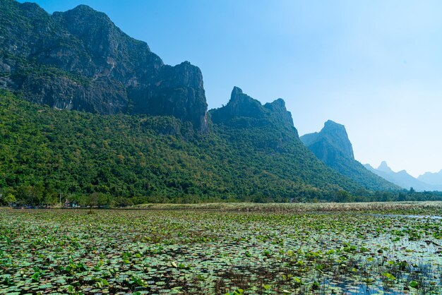 Pantano de agua dulce Sam Roi Yot o Parque Nacional Bueng Bua Khao Sam Roi Yot en Tailandia