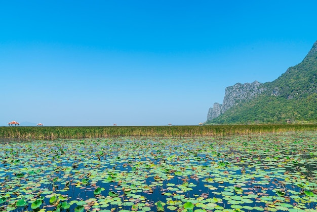 Pantano de agua dulce Sam Roi Yot o Parque Nacional Bueng Bua Khao Sam Roi Yot en Tailandia