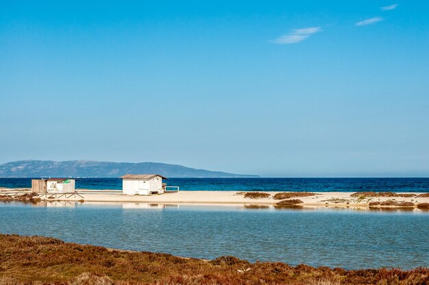 Pantano cerca de una playa con cielo azul