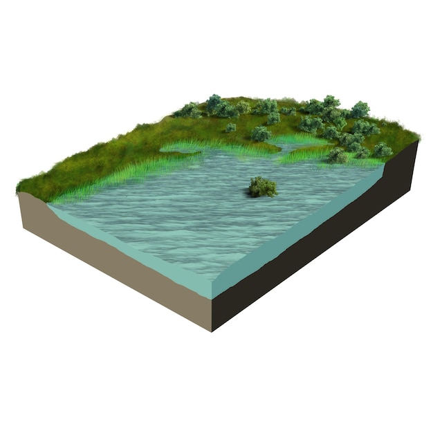 Foto pântano de terreno modelo 3d