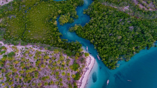 Foto pantano de manglares en la playa de kanga isla de la mafia