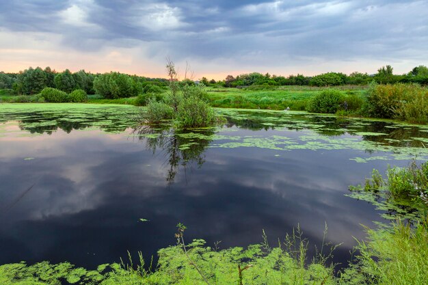 El pantano de Rusia Central al amanecer