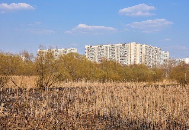 Pantano urbano vista del área de dormir desde el parque