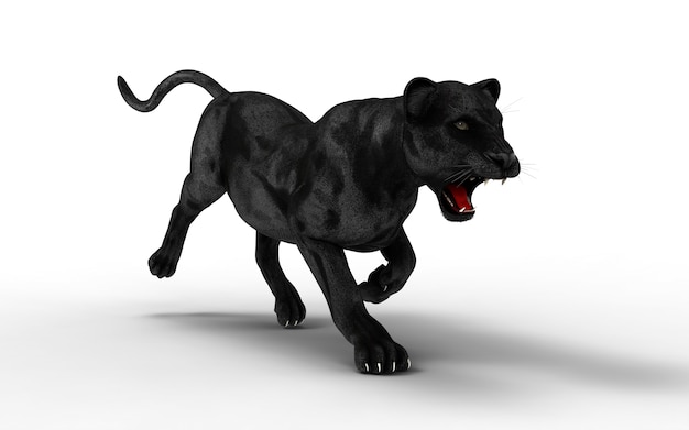 Pantera negra isolar no fundo branco, tigre preto, ilustração 3d, render 3d