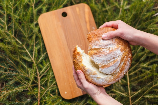 Pão branco fresco em uma placa de corte no fundo de ramos verdes