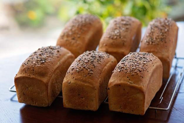 Pão de grão branco recém-assado caseiro em uma assadeira contra um fundo de folhas verdes de verão Foco seletivo suave