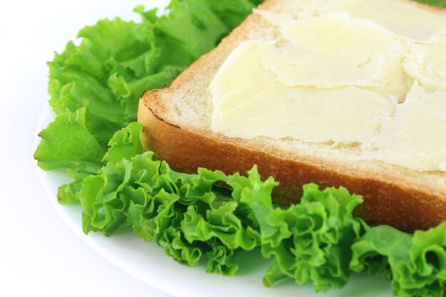 Pão fatiado com queijo e alface verde em um prato
