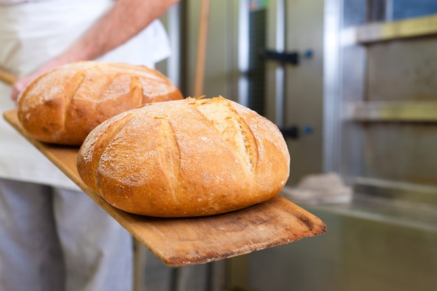 Pão masculino padeiro