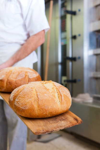 Pão masculino padeiro