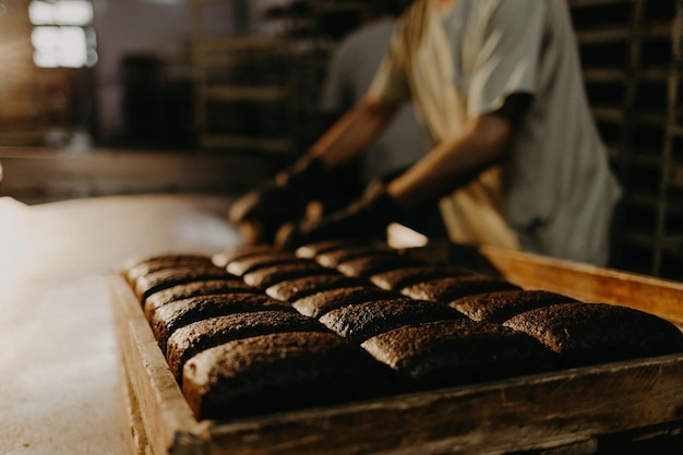 Pão tradicional recém-cozido em mesa de madeira