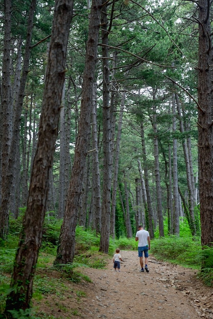 Papá e hijo pequeño están caminando en el bosque de pinos y helechos del parque de verano.