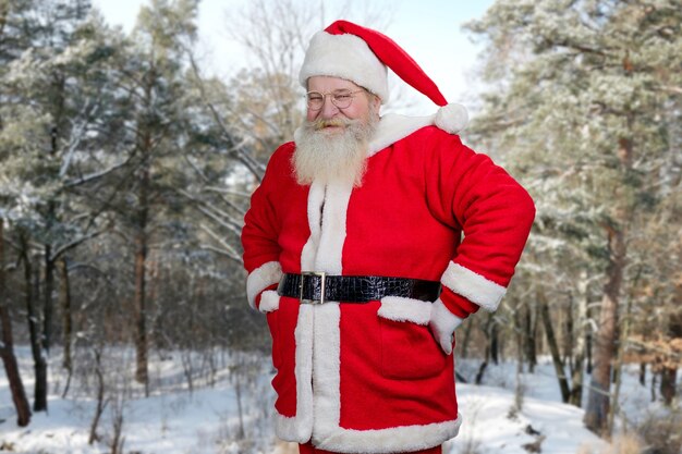 Papá Noel sonriente en el fondo de la naturaleza.