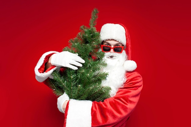 Papá Noel en traje y gafas sostiene un árbol de Navidad artificial sobre fondo rojo.