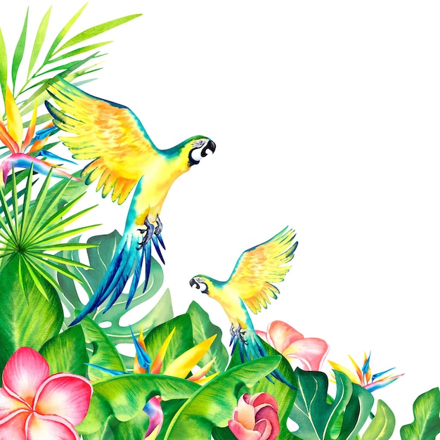 Papagaio arara na selva tropical Monstera Palm branch Plumeria Composição tropical ilustração em aquarela em um fundo isolado