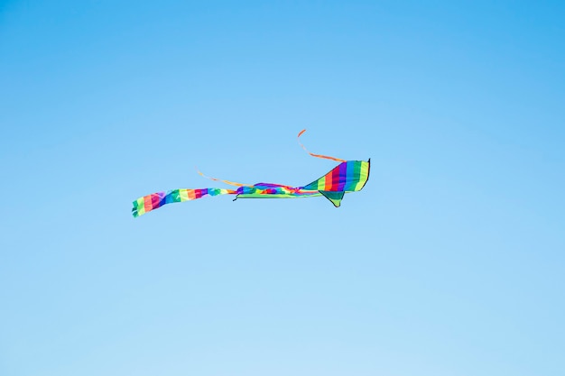 Papagaio colorido voando no céu azul. jogos de verão e diversão.