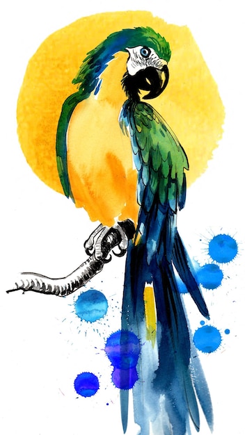Foto papagaio sentado em um galho tinta desenhada à mão e aquarela com respingos no papel