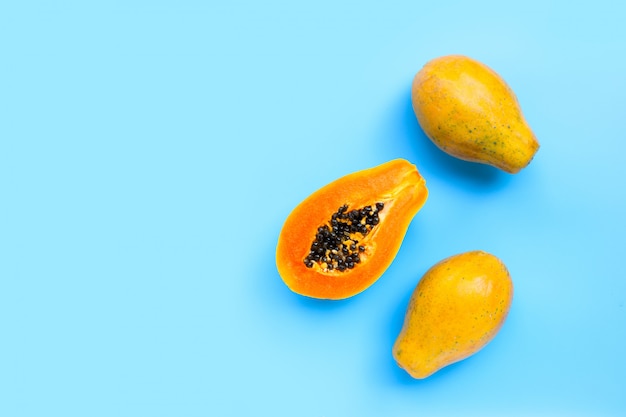 Papaya-Frucht auf blauem Hintergrund.