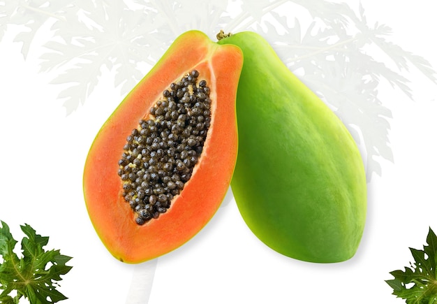 una papaya madura cortada por la mitad revelando su vibrante carne naranja y numerosas semillas negras La piel exterior verde de la fruta contrasta con el interior brillante sobre un telón de fondo de hojas de papaya