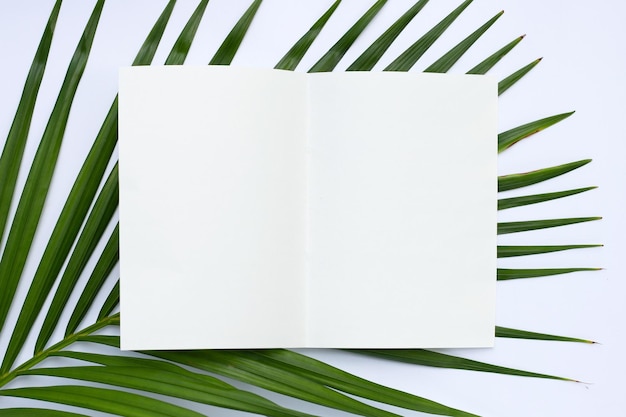 Papel en blanco sobre hojas de palmeras tropicales sobre fondo blanco. Copia espacio