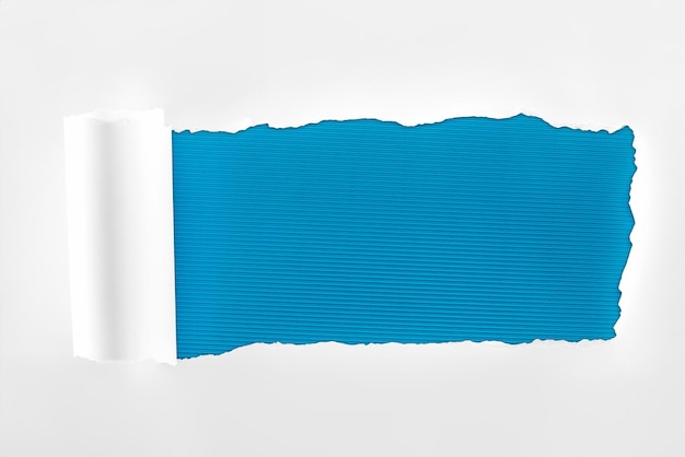 papel blanco de textura desgarrada con borde enrollado sobre un fondo azul profundo