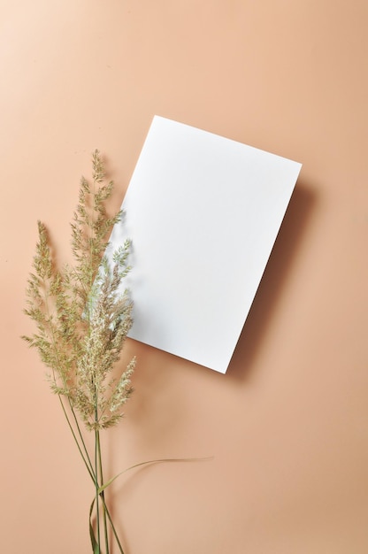 Papel blanco vacío con un lugar para escribir sobre un fondo beige y plantas secas al lado.