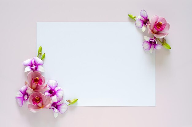 Papel blanco vacío para texto con orquídeas flor de dos conos en fondo rosa pastel