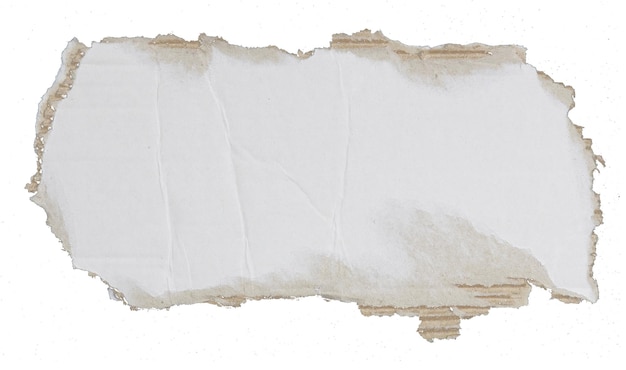 Papel corrugado Kraft aislado sobre fondo blanco.