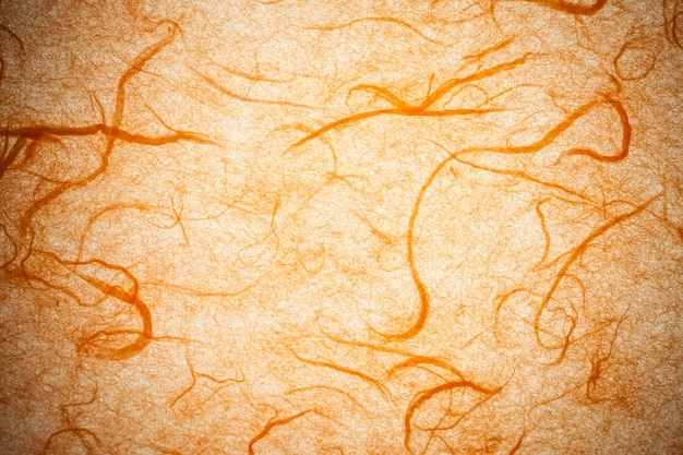 Foto papel de amora laranja.