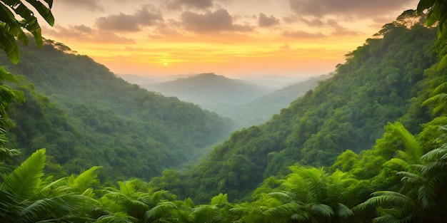 Papel de parede com uma paisagem tropical ao pôr do sol Selva com montanhas, palmeiras e outras plantas selvagens Céu com nuvens e sol poente Ilustração da floresta tropical Fundo com natureza intocada